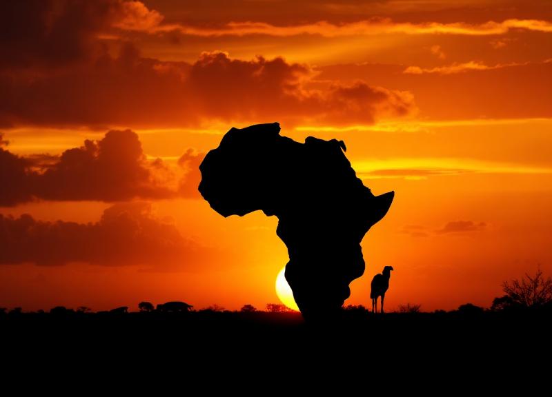 CONIRAFRO fortalece parcerias na África e nas Américas